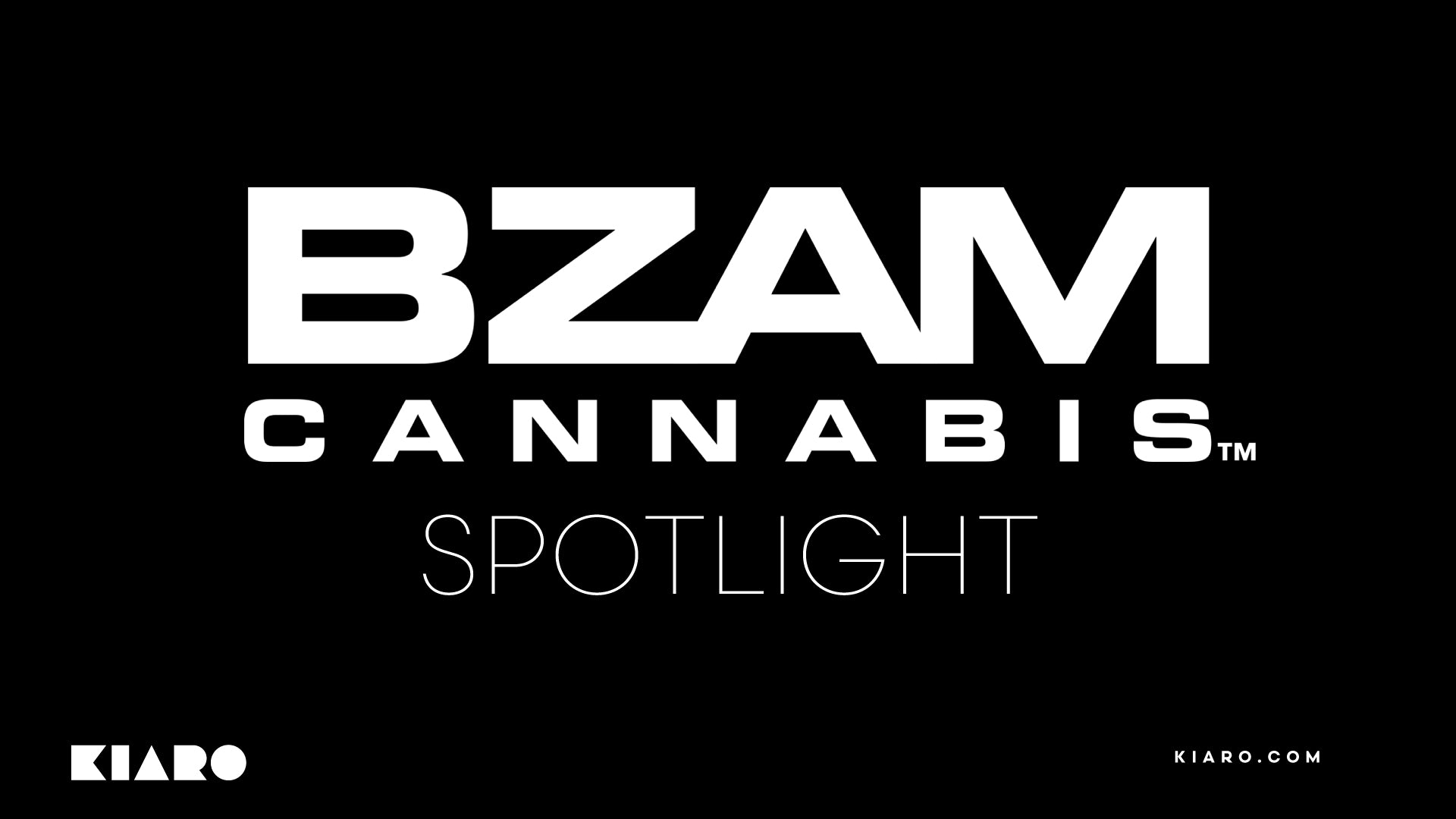 BZAM SPOTLIGHT