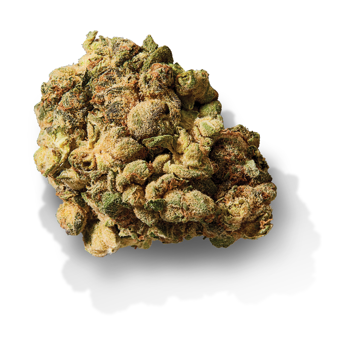 Super Lemon Haze - 28G – Kiaro BC Super Lemon Haze - 28G – Kiaro BC