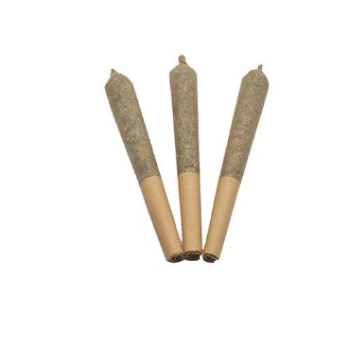 Mango Gold Pre-Rolls