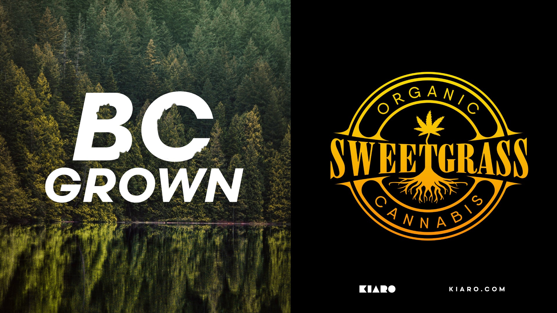 BRAND SPOTLIGHT: SWEETGRASS